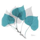 Aspen Teal E143