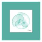 Argonaut Seafoam Matte