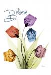 Believing Sandersonia