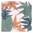 Autumn Jungle