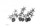 Amoung The Stars