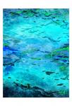 Abstract Waves
