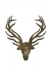 Aged Deer