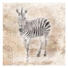 African Animals - Zebra