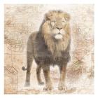 African  Animals - Lion