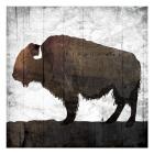 Aged Buffalo