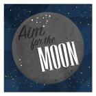 Aim For The Moon