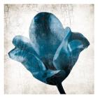 Aging Blues