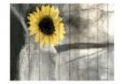A Pop Of Yellow