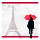 A Night in Paris