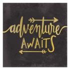 Adventure Awaits 1