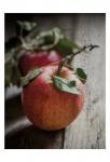 Apple Duo