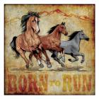 Born to Run 01