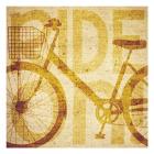 Bike Canvas 2