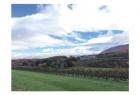 Autumn Skies 1