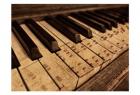 Acoustic Melody 1