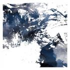 Blue Square Jay Mess
