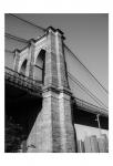 Beneath Brooklyn Bridge 1