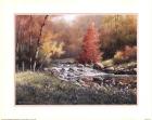 T.c. Chiu - Flowing Stream Size 16x20