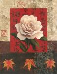 White Chinese Rose