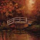 Wooden Bridge