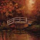 Wooden Bridge