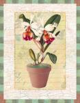 Walter Robertson - Potted Cattleya Size 10x8