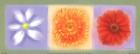 3 Flower Panel
