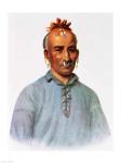 Kish-Kal-Wa, a Shawnee Chief