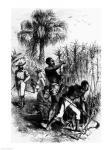 Slaves Working on a Plantation