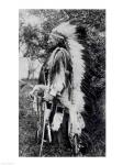 White Wolf, a Comanche Chief
