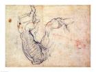 Preparatory Study for the Arm of Christ in the Last Judgement, 1535-41