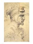 Ideal head of a warrior