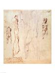 Anatomical drawings with accompanying notes