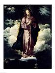 The Immaculate Conception