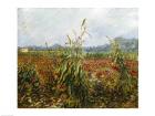 Corn Fields and Poppies, 1888