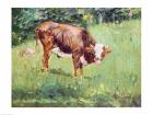 Young Bull in a Meadow, 1881