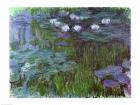 Waterlilies, 1914-17