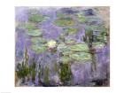 Waterlilies, 1915