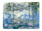 Waterlilies, 1916-19