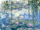 Waterlilies, 1916-19