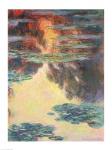 Waterlilies, 1907