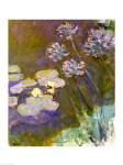 Waterlilies and Agapanthus, 1914-17