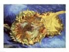 Sunflowers, 1887