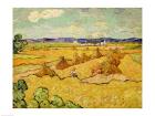 The Haystacks