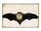 Bat, 1522