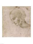Head of a Young Woman or Head of the Virgin