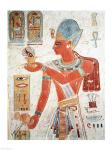 Ramesses II: Dressed for War