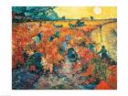 Red Vineyards at Arles, 1888