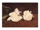 Branch of White Peonies and Secateurs, 1864